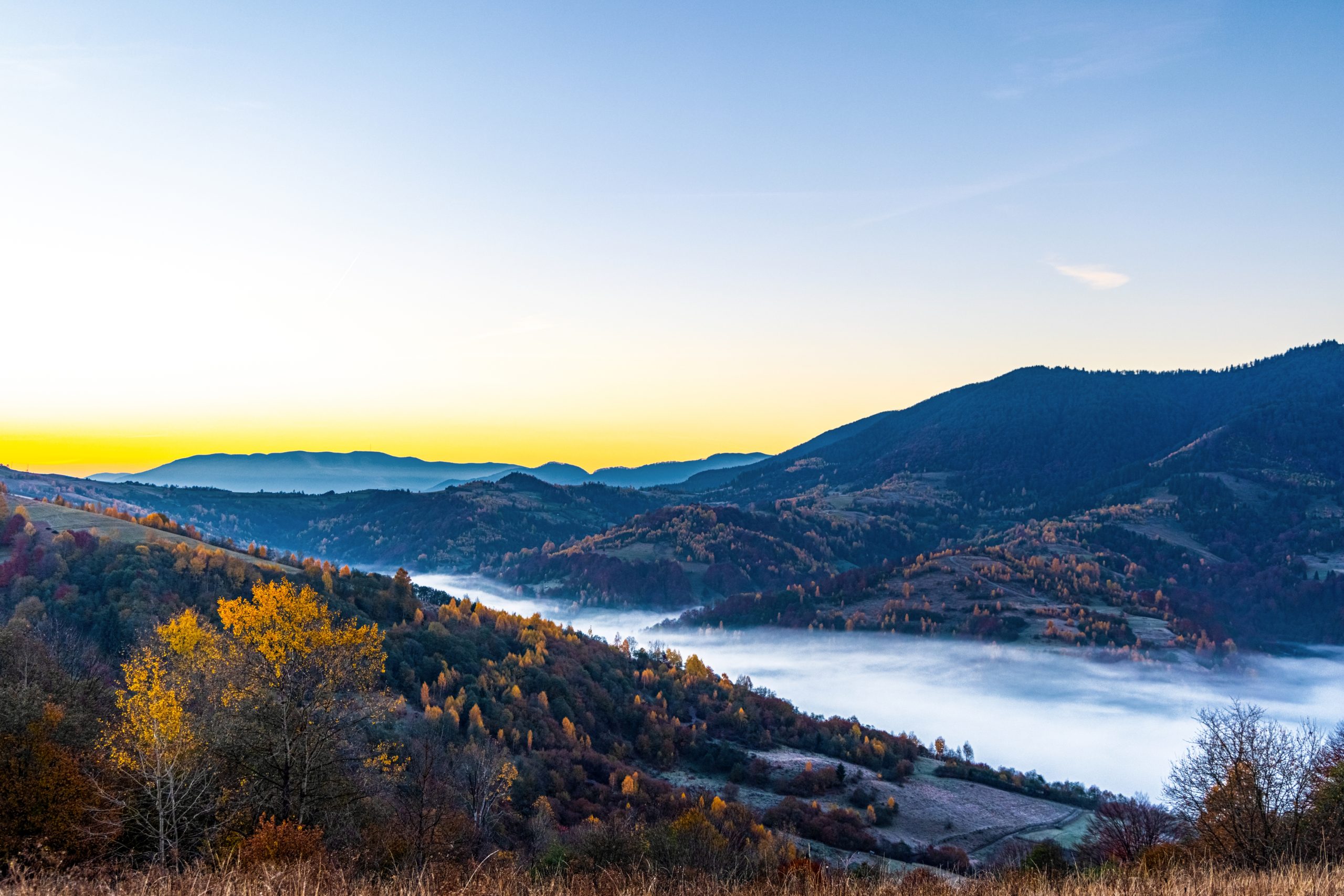 Hill with trees against gorge covered with fog in autumn